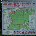 Фото №3 Домашняя зоогостиница, передержка собак и кошек