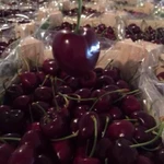 Фото №4 Продаем черешню