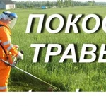 Покос травы в городе и районе