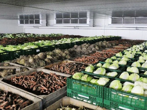 Фото Монтаж Холодильных Агрегатов в Овощехранилища и Фруктохранилища с Гарантией. Воздухоохладители.