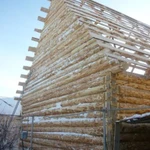 Фото №7 Деревянные дома, бани ручной рубки