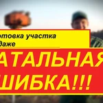 Фото №25 Расчистка участка от кустарника и деревьев. ОТЗЫВ КЛИЕНТА.