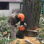Спиливание деревьев