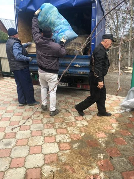 Фото Вывоз мусора