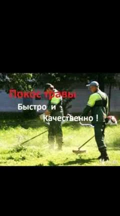 Фото Услуги покоса травы