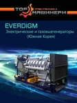 Фото №2 Продажа аренда генератор 130кВт Everdigm Edg170E