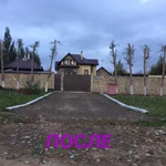 Фото №5 Спел деревьев, валка, вырубка, расчистка участков.