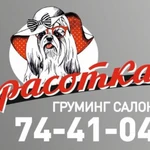 Фото №7 Профессиональная стрижка кошек и собак
