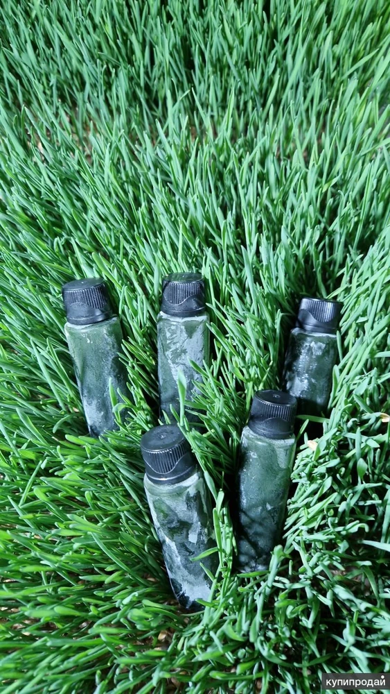 Фото Сок ростков пшеницы - Витграсс