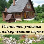 Расчистка участков.Спил,корчевание деревьев