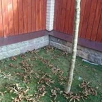 Фото №2 Колпаки, отлив