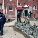 Фото №6 Вывоз мусора, снега на свалку нашими силами
