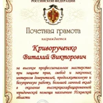 Фото №4 Адвокат по уголовным делам