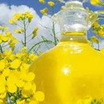 Фото №3 Масло Соевое, рапсовое, подсолнечное