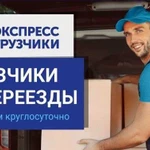 Грузчики/Грузоперевозки