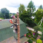 Фото №2 Спилить Удалить Срубить дерево в городе Жуков