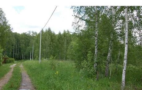 Фото Участок по Дмитровскому шоссе. Рядом город, Ж/Д станция, лес