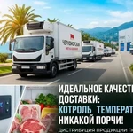 Дистрибуция продуктов питания по большому Сочи