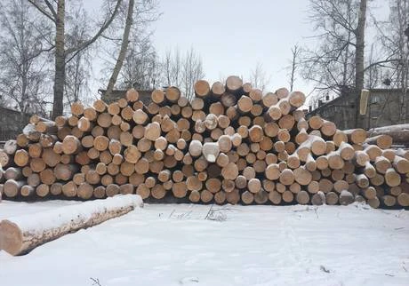 Фото Строительный Кедр. Цены от заготовителя.