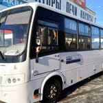 Транспортные услуги,Аренда авто,заказ автобусов