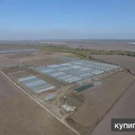 Фото №2 Тепличный комплекс 4,5 Га