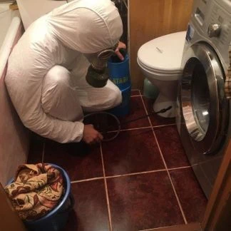 Фото Уничтожение насекомых без запаха