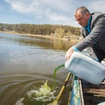 Фото №3 Хлорелла Богатый Пруд