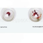 фото Пломбировочная наклейка АНТИМАГНИТ