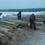 Фото №9 Срубы домов бань. Фундаменты любых типов