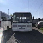 Паз 32053