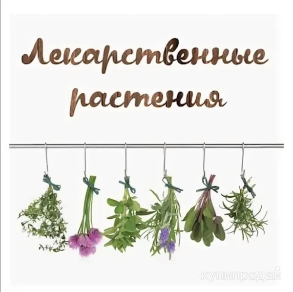 Фото Принимаю заказы 2025 год.