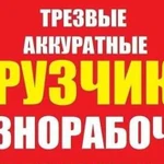 Грузчики - разнорабочие 24RUS