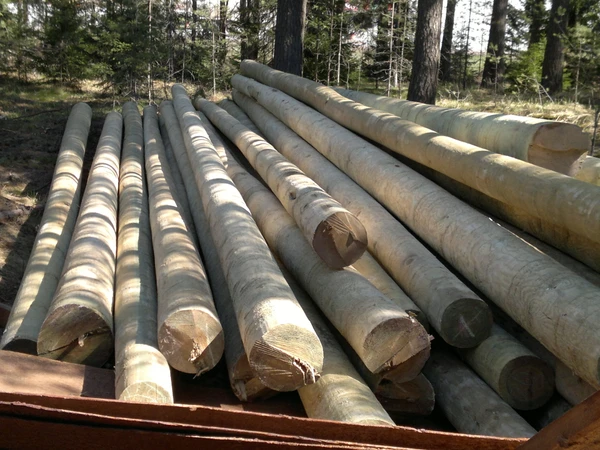 Фото Опоры (столбы) ЛЭП деревянные 9,5м и 11м в Выборге