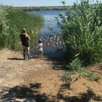 Покос камыша, уборка водорослей, откачка ила