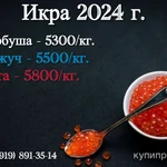 Фото №2 Продам икру 2024 года!!!