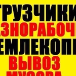 Разнорабочие Земляные Работы Землекопы