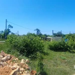 Фото №6 Лот  74236 Ровный, четырехугольный участок со сторонами 39 х 27 х 32 х 26