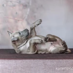 Фото №5 ЩЕНКИ ТАЙСКИХ РИДЖБЕКОВ