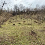 Фото №3 Продаю земельный участок на море