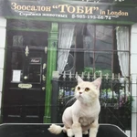 Фото №3 Зоосалон "Тоби" 