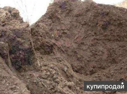 Фото Перегной, навоз (конский, коровий).