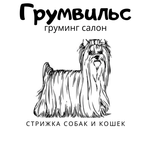 Фото Стрижка собак