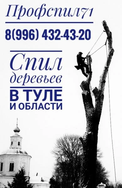 Фото Спил деревьев 