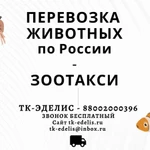 Перевозка животных Пятигорск