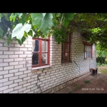 Фото №6 Продаю дачу СНТ Нефтяник