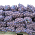 фото Свекла оптом