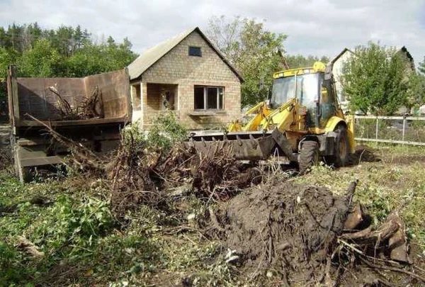 Фото Уборка участков, подготовка к застройке и продаже