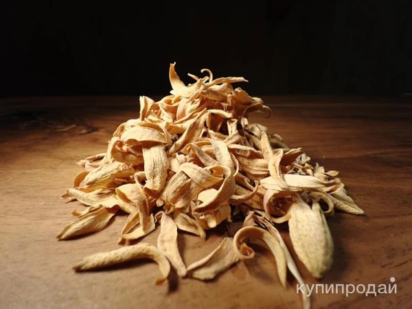 Фото Лепестки цветов апельсина сушёные