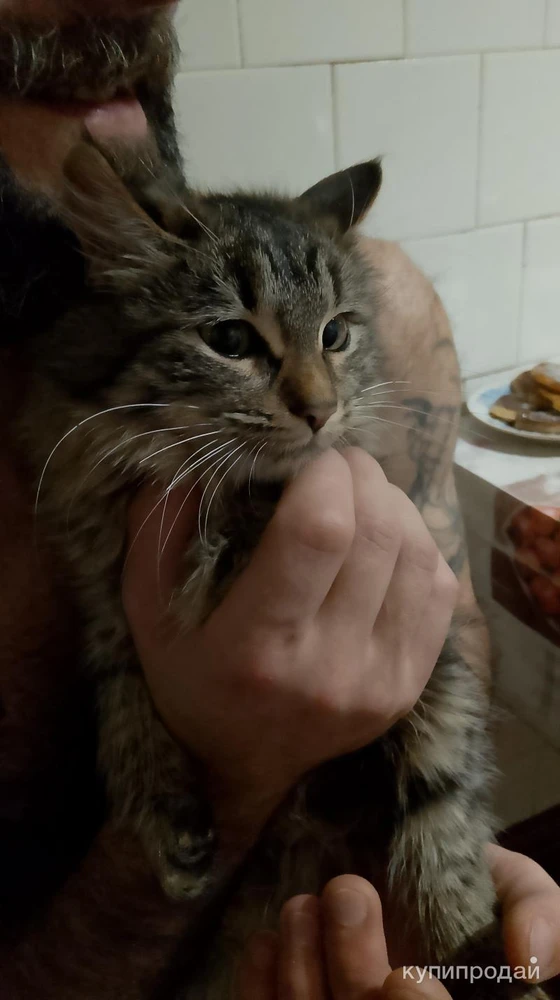 Фото В добрые руки ?