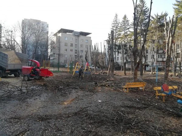 Фото Измельчитель веток аренда, спил деревьев 